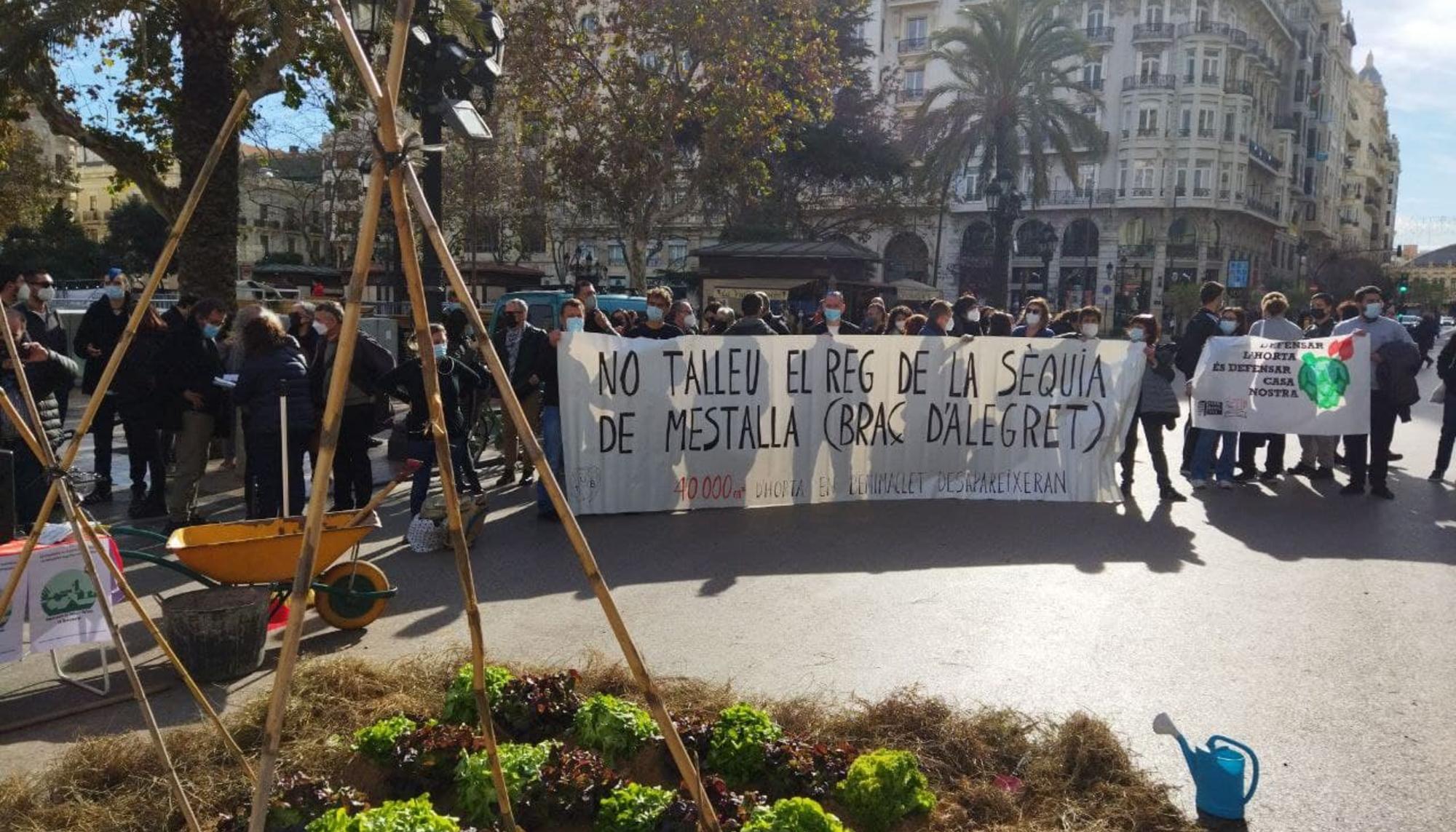 mani defensem horta valencia